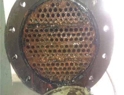 Holcim cement factory descale scale