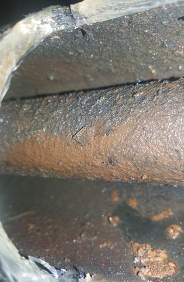 Nippon Sheet Glass Factory descaler 2 months