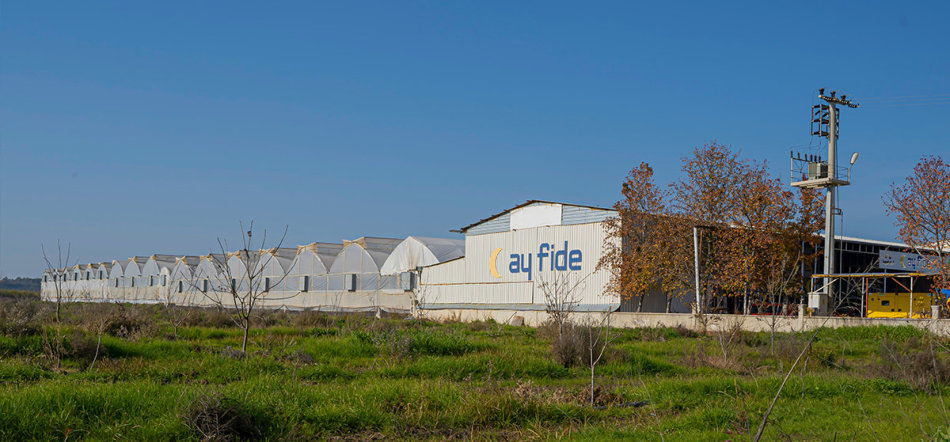 ayfide remove mineral scale RO boiler