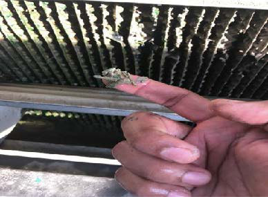 Marina Plaza cooling tower soft scale